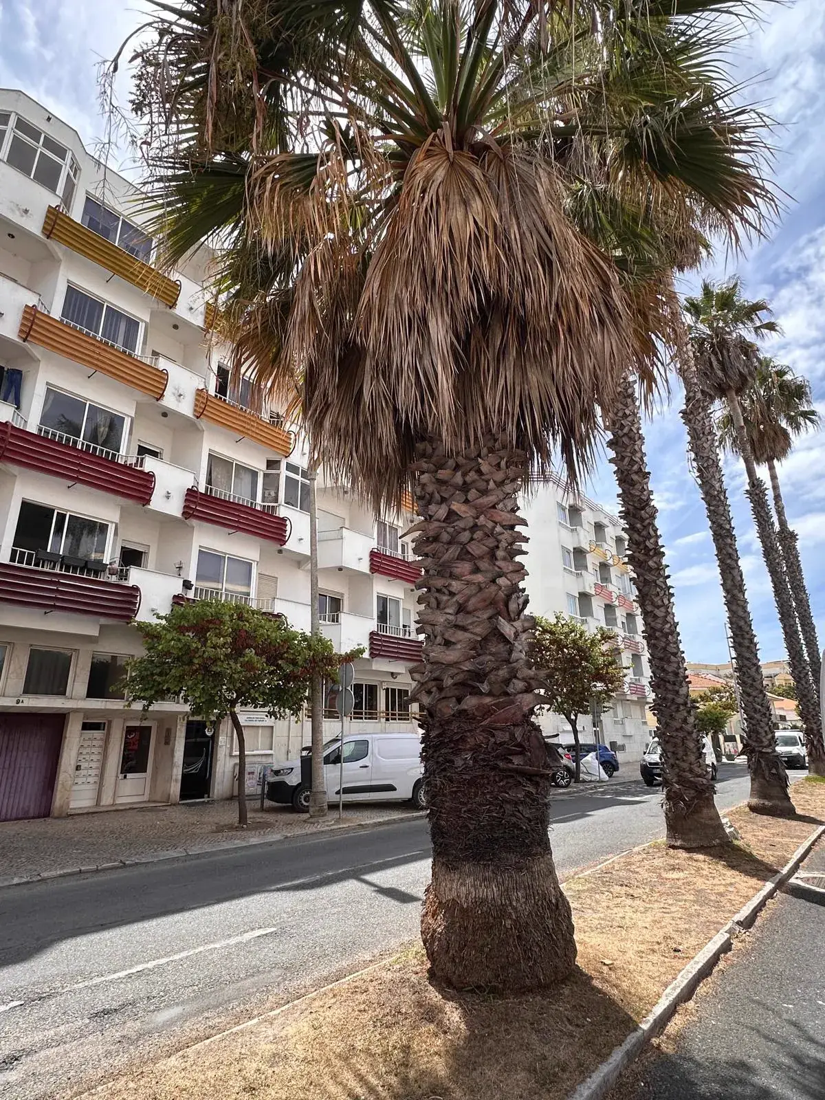 Everyday life in Costa da Caparica